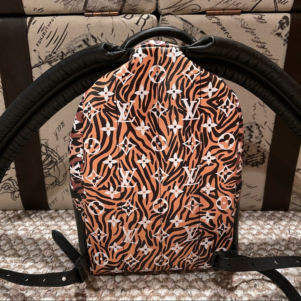 Louis Vuitton Jungle Palm Springs PM Backpack - Picture 3 of 16